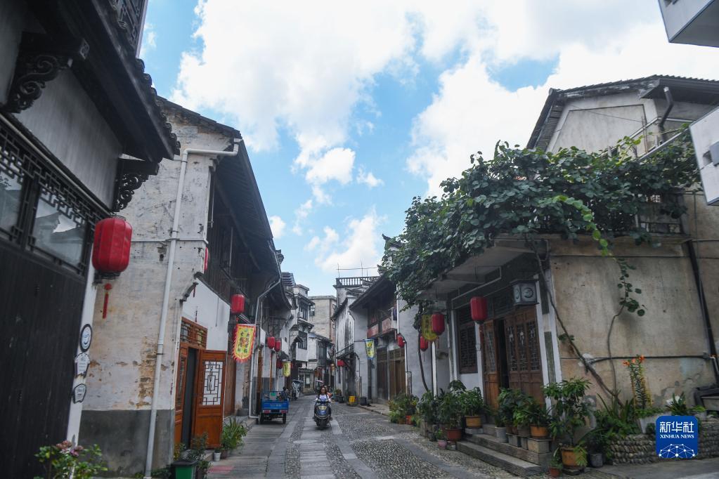 巫师之徒